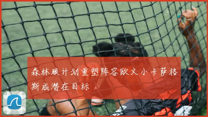 森林狼计划重塑阵容欧文小卡萨格斯成潜在目标
